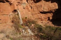 Springs of Deer Creek