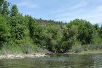 Fall Creek Confluence