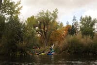Camp Lotus Access