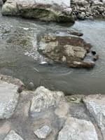 40cfs