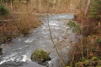 South Fork Confluence