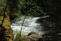View of Ruby Creek at the Take-out