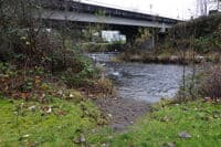 River Access at Rotary Park