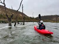 Kayak Through the Ghost Forest