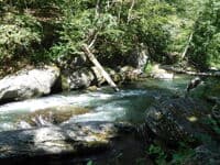 Chainsaw (bottom) -- Gunpowder Gorge