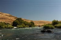 Moody Rapids