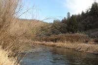 Shasta River at Modoc Gulch