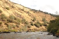 Rapid Below African Queen