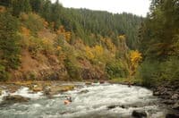 Carter Bridge Rapid