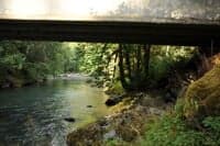 Bridge