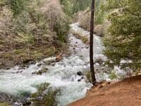 Rapid near beginning