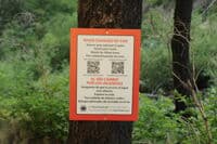 Warning Sign Post Fire