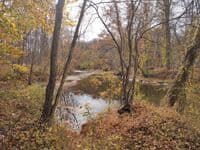 Nbr/Sbr Patapsco confluence