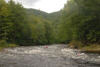 Island Rapid