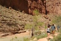 Hiking Havasu