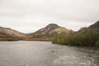 Looking Back Upstream Towards Jenny Creek