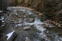 View Looking Downstream from the Dingford Creek Bridge