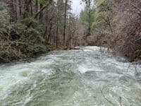 EF SF Salmon River