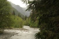 Taylor River Rapid