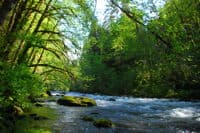Fish Creek in the Evening