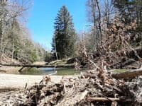 Log Jam