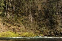 Packrafting The Chehalis