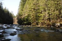Middle Fork Snoqualmie