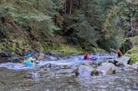 Upper run