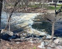 Red Cedar at 870 CFS