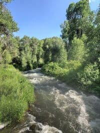 Cottonwoods Rapid