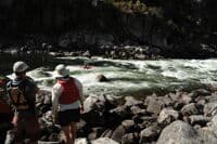Aki on Vinegar Creek