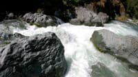 Major Rapid #3