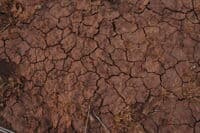 Former Reservoir Sediments