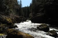 Looking Downstream Into Big Creek Gorge