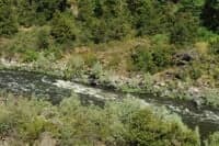 Rapid on the Klamath