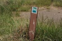 Johnson Flat Campsite Marker