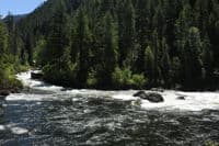 Old Man Rapid