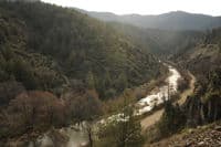 View Upstream from Highway 263 Bridge