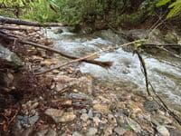 Rapid on Thunderhole Creek