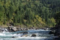 Looking Upstream at Bonecrusher