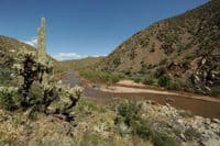 Salt River view 