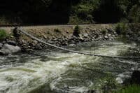 Foot Bridge
