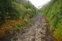 Dewatered River Channel Downstream of Gorge Dam