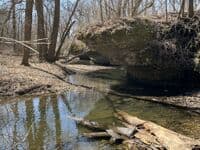 Spring Creek in Carver-Roehl Park