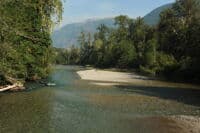 River View from Forest Road 1550 Bridge