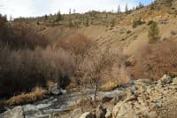Shasta River Rapid