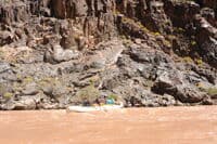 231 Mile Rapid