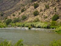 Gauging Station Rapid (aka Reynold's Rapid)