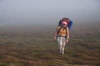 The Hike In