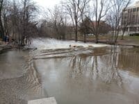 MSU Wave at 1250 cfs